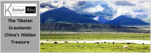 The Tibetan Grasslands: China’s Hidden Treasure