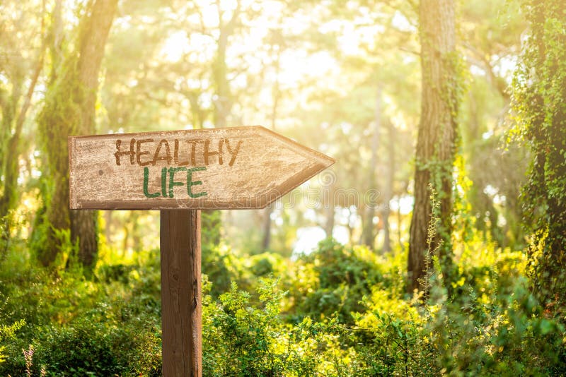 Everyday Habits for a Healthier You