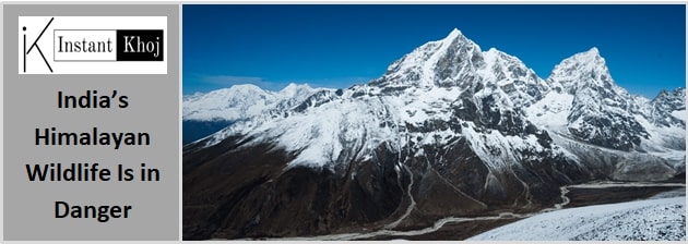 India’s Himalayan Wildlife Is in Danger