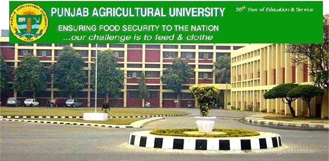 Punjab Agricultural University (PAU)